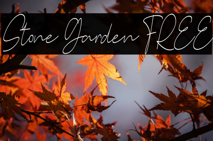 Stone Garden FREE Example 2