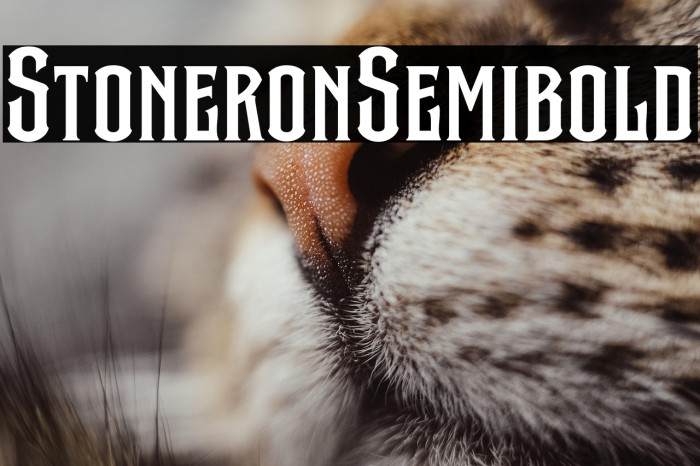 Stone Iron Semibold Example 2