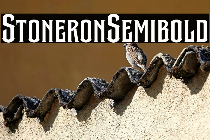 Stone Iron Semibold Example 3