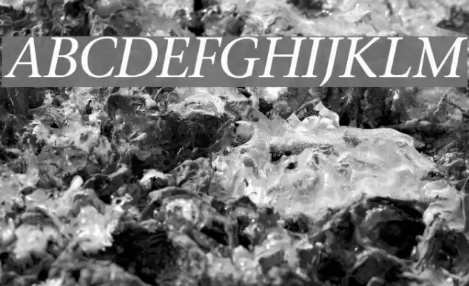 Stone Italic Font examples