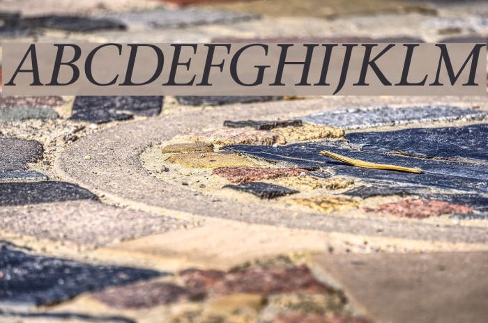 Stone Italic Font examples