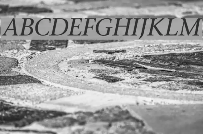 Stone Italic Font examples