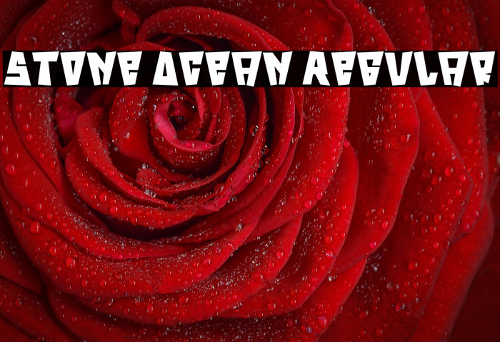 Stone Ocean Regular Example 1