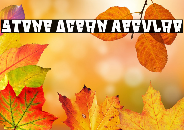 Stone Ocean Regular Example 2