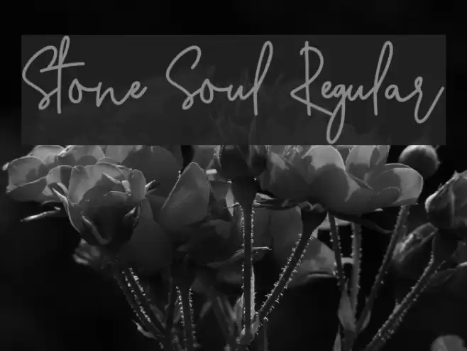 Stone Soul Regular Font examples