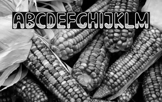 Stone Wall Font examples