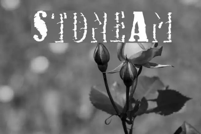 StoneAm Font examples