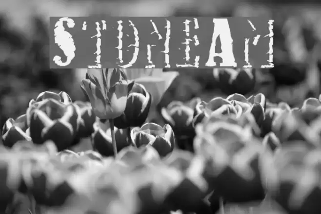 StoneAm Font examples