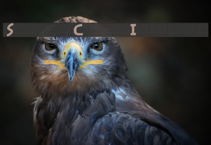 StoneCapsIngrid Font examples
