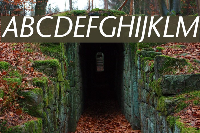 StoneSans Italic Font examples