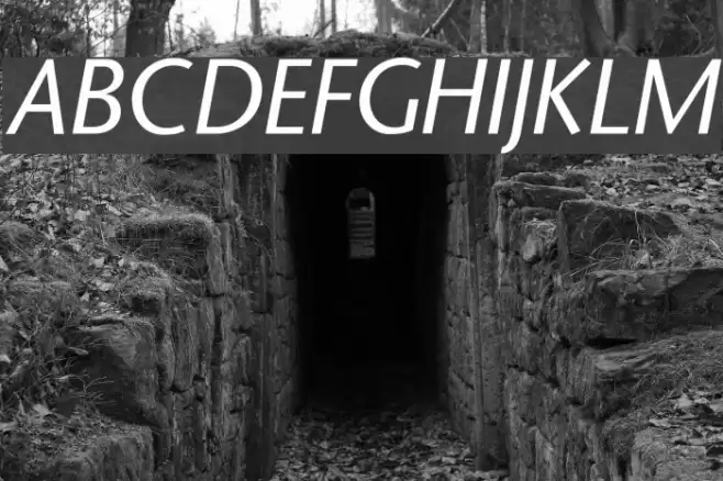 StoneSans Italic Polices examples