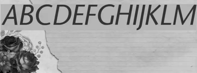 StoneSans Italic Polices examples