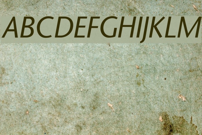 StoneSans Italic Font examples