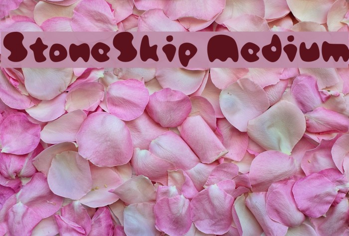 StoneSkip Medium Example 3