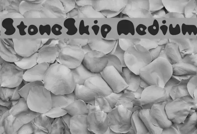 StoneSkip Medium Font examples