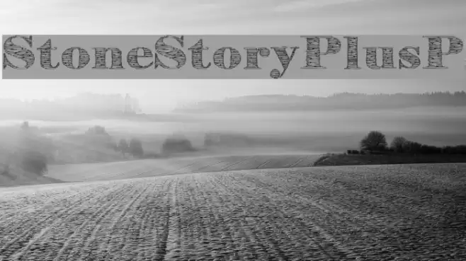 StoneStoryPlusP Font examples