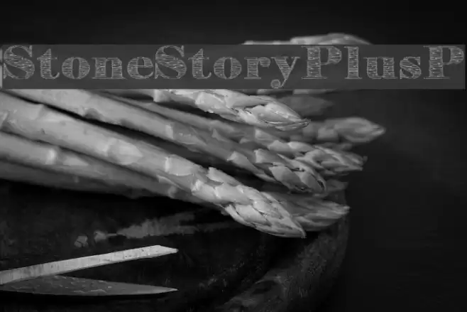StoneStoryPlusP Font examples