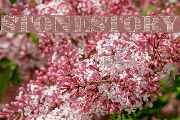 StoneStory Font examples