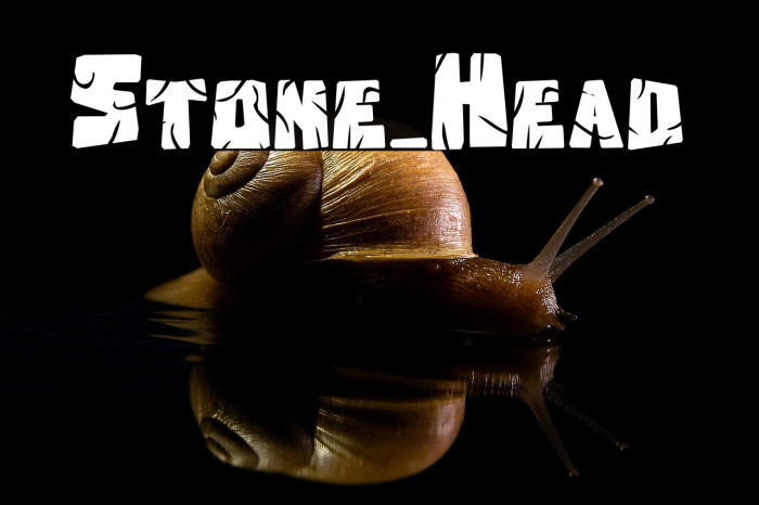 Stone_Head Example 2