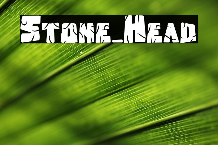 Stone_Head Example 3