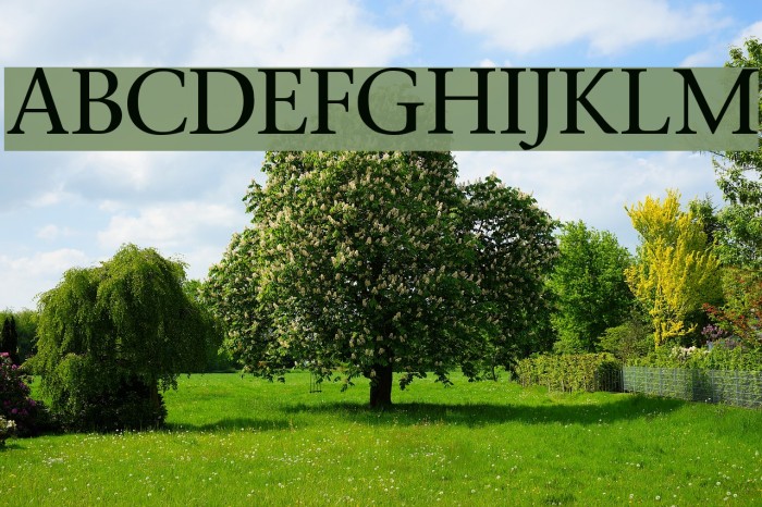 Stone Font examples