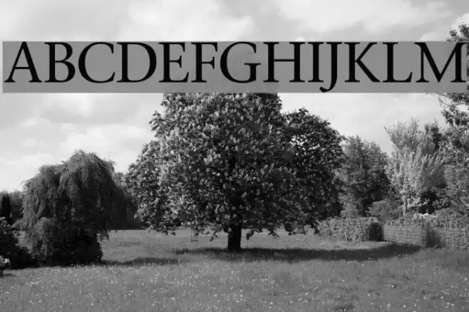 Stone Font examples
