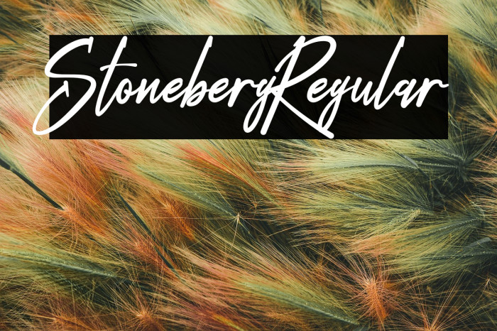 Stoneberg-Regular Example 1