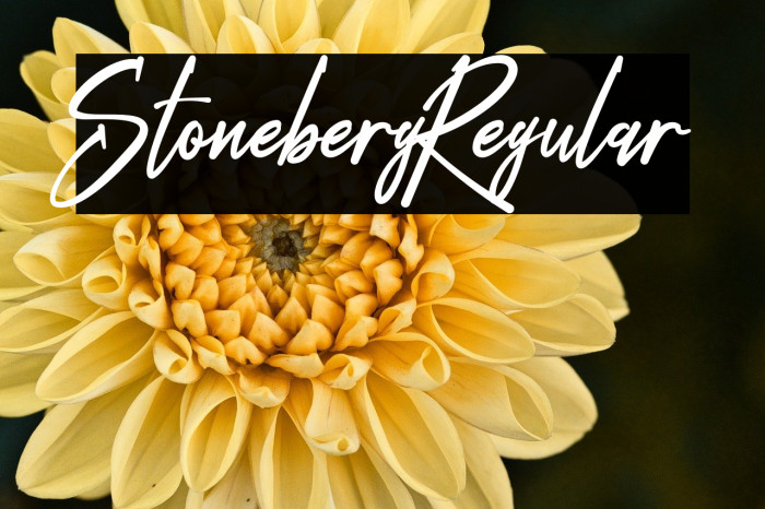 Stoneberg-Regular Example 2