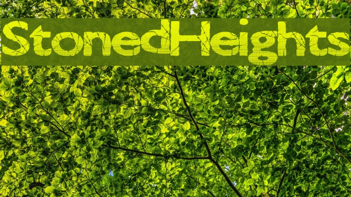 StonedHeights Font examples