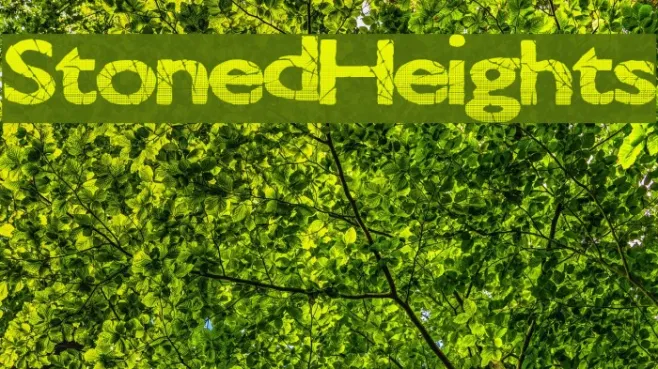StonedHeights Example 1