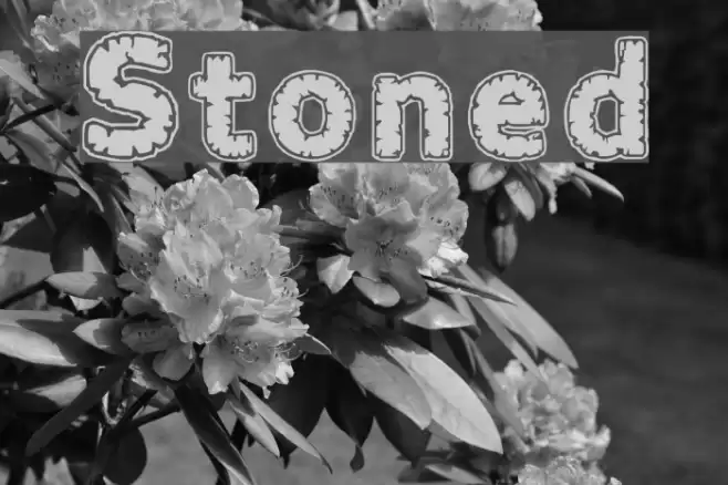 Stoned Font examples