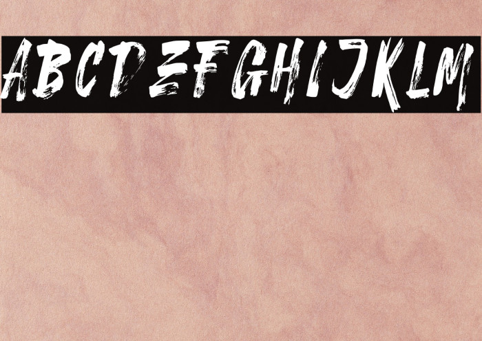 Stonehard Brush Demo Font examples