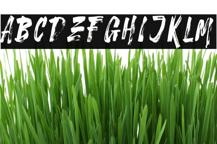 Stonehard Brush Demo Font examples