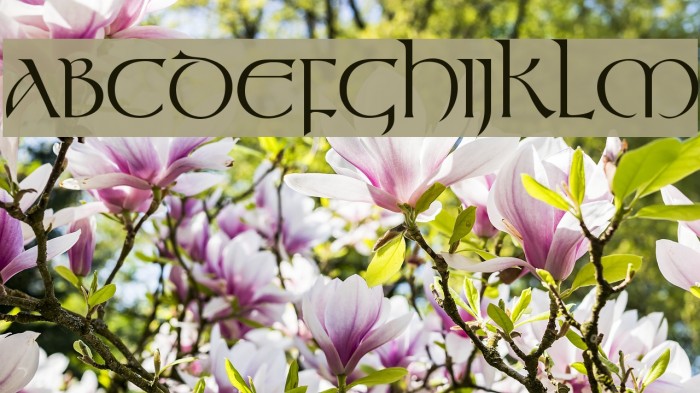 Stonehenge Regular Font examples