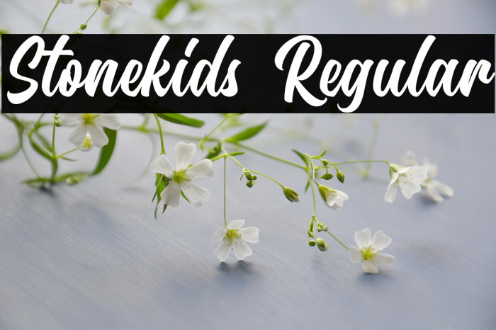 Stonekids Regular Example 3
