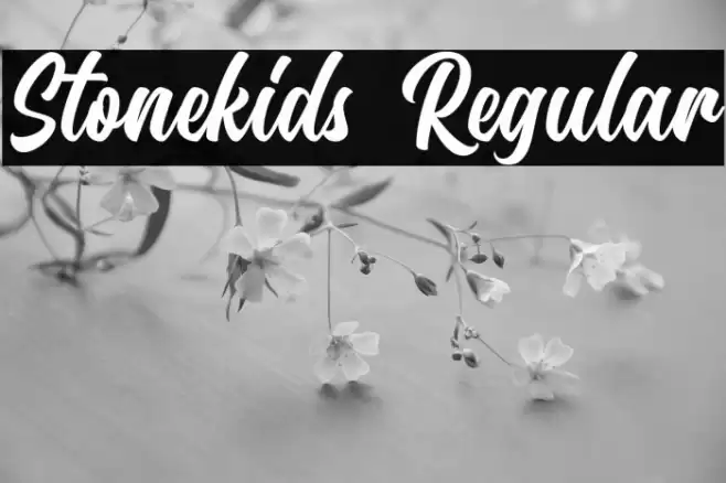 Stonekids Regular Font examples