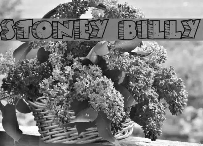 Stoney Billy Font examples