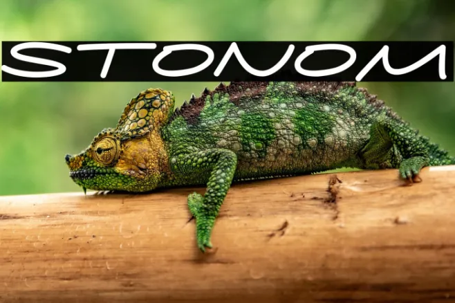 Stonom Example 1