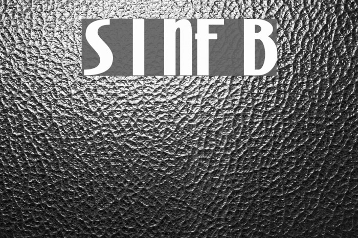 Stony Island NF Bold Font examples