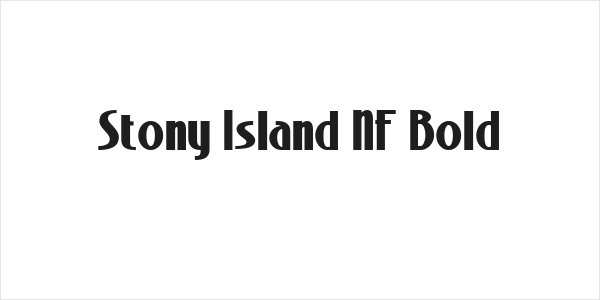 Stony Island NF Bold Logo