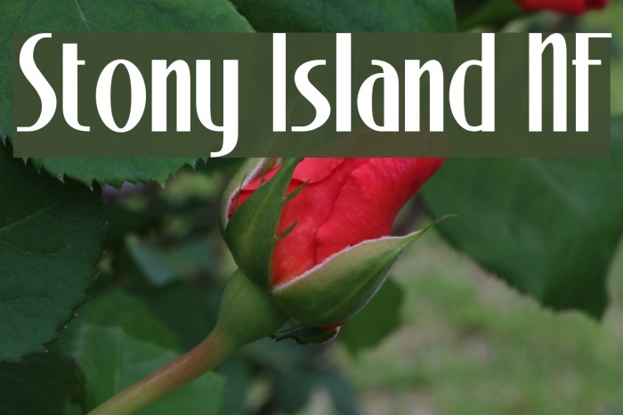 Stony Island NF Font examples
