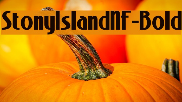 StonyIslandNF-Bold Font examples