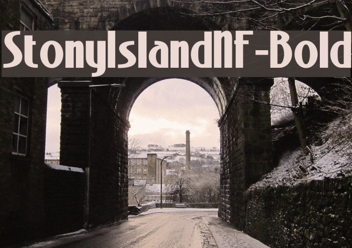 StonyIslandNF-Bold Font examples