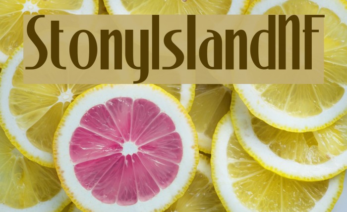 StonyIslandNF Font examples
