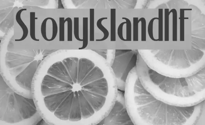 StonyIslandNF Шрифта examples