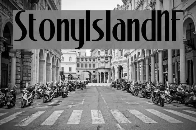 StonyIslandNF Шрифта examples