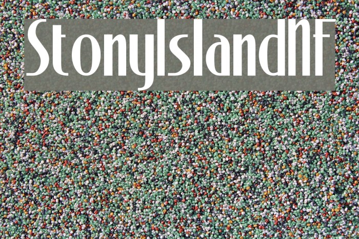 StonyIslandNF Font examples