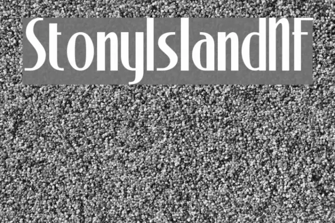 StonyIslandNF Шрифта examples