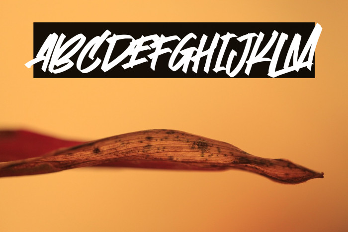 Stoopid Markers Example 1