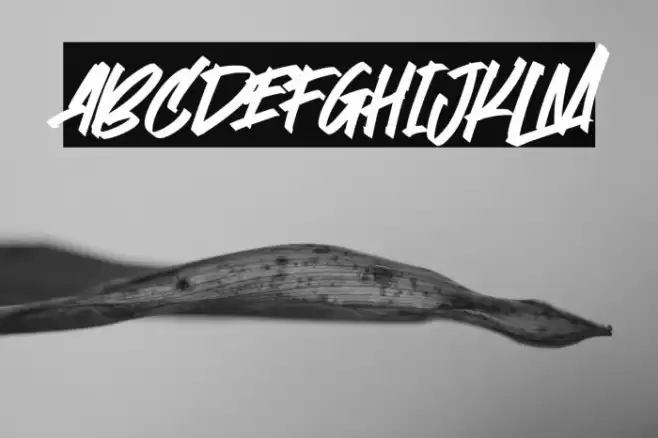 Stoopid Markers Font examples